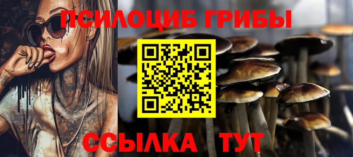 Галлюциногенные грибы прущие грибы Чернушка