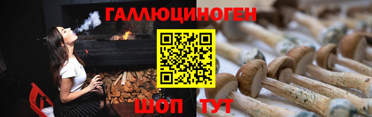 Галлюциногенные грибы Magic Shrooms  Вход с VPN  Чернушка  Галлюциногенные грибы мухоморы 