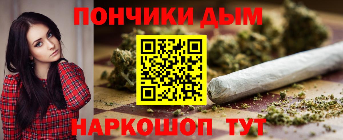Канабис ГИДРОПОН  Вход с VPN  Каннабис план  Чернушка 